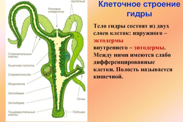 Кракен нарко шоп