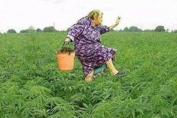 Даркнет каталог