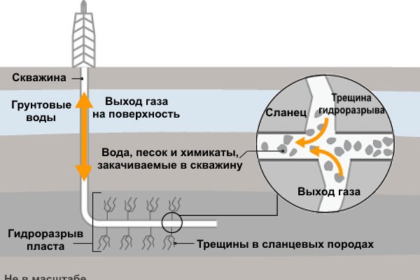 Аналог гидры