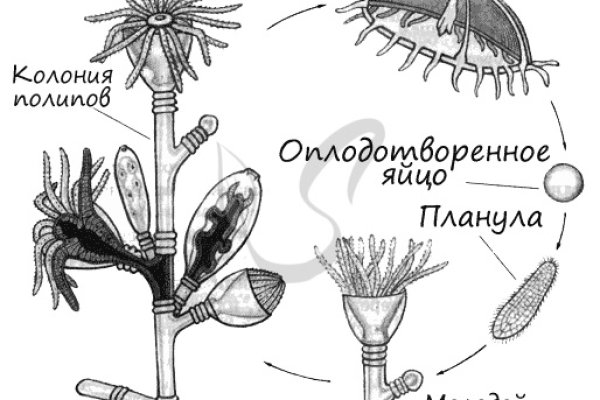 Кракен даркнет регистрация