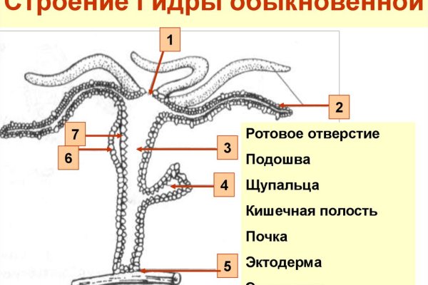 Как зарегистрироваться на сайте кракен