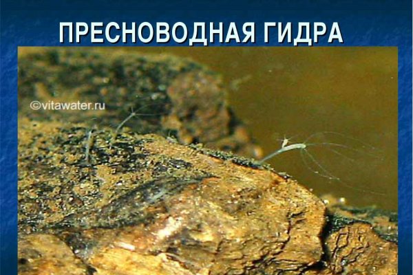 Кракен запрещенные вещества