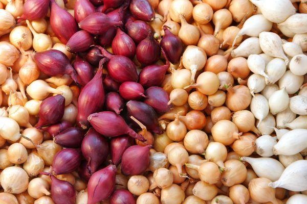 Сайты где купить наркотики