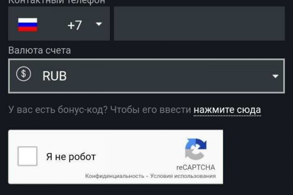 Kraken kraken link24 info