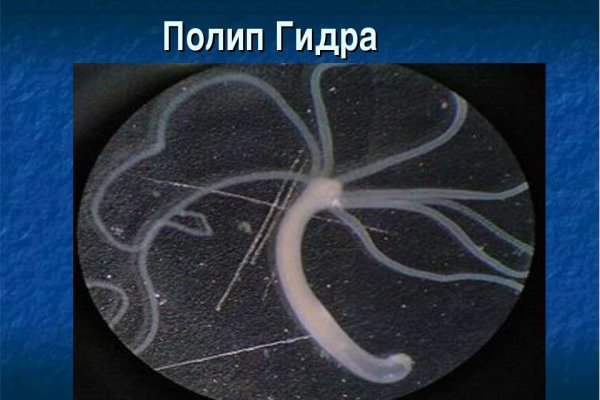 Кракен рабочий сайт