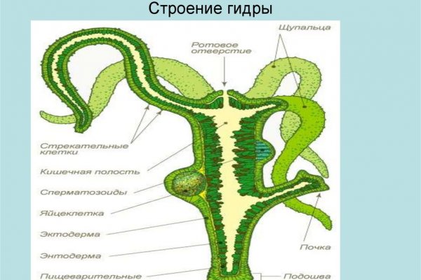 Кракен ссылка официальная в тор