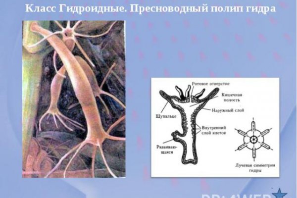 Кракен наркомаркет