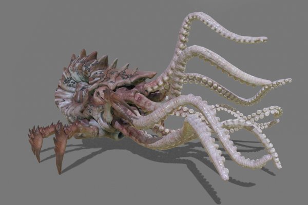 Kraken сайт kraken clear com
