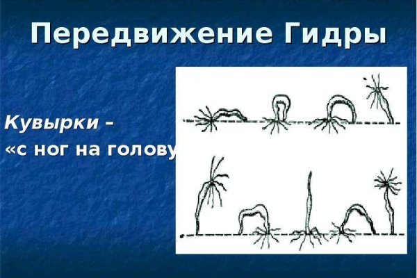 Kraken 13 at