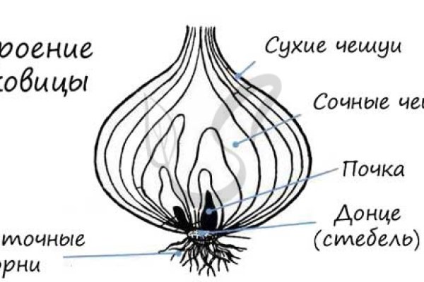 Кракен даркнет стор