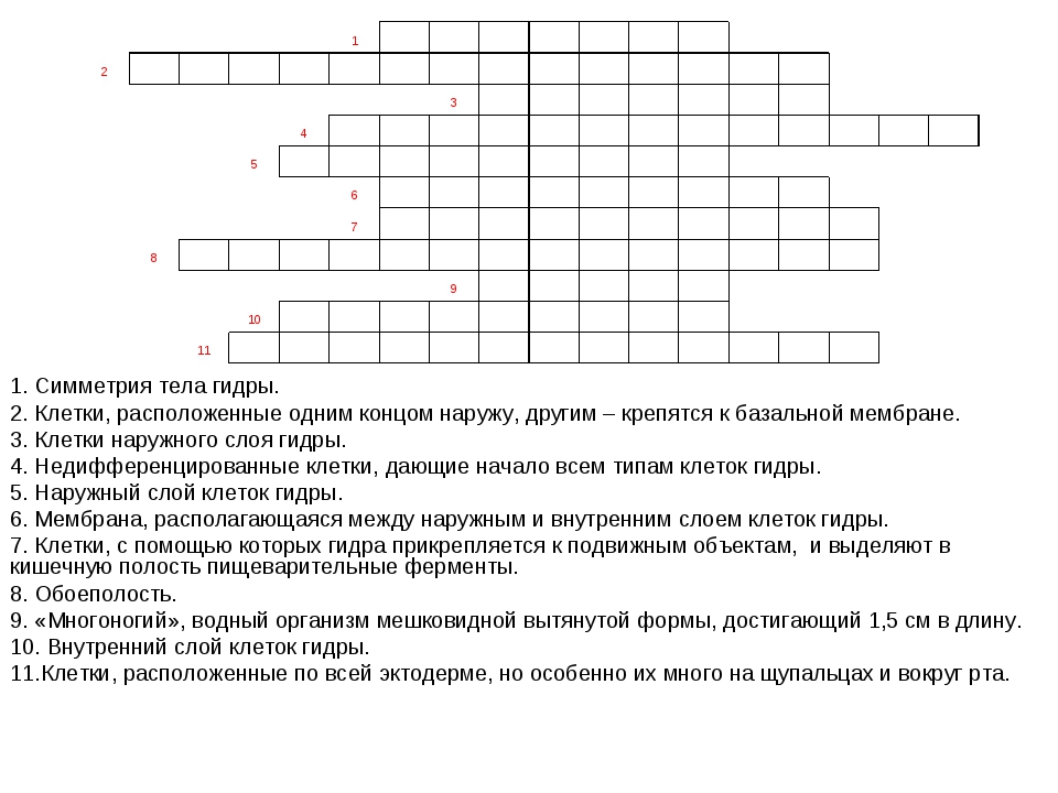 Kraken ссылка тг