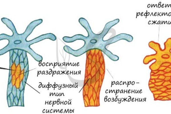 Кракен зеркало сайта